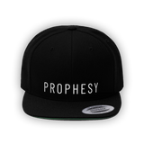 Unisex Flat Bill Hat